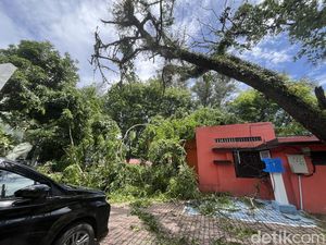 Pohon Tumbang di Jalan Sudirman Medan Timpa Kantor Pos