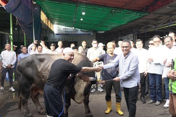 Lebih dari 700 Hewan Kurban Disalurkan Pegadaian Se-Indonesia