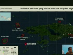 Izin 4 Tambang di Raja Ampat Dicabut, Ini Pemiliknya
