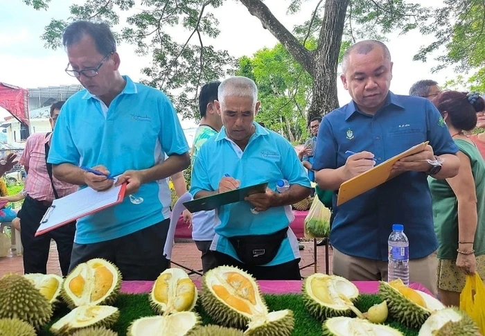 Pesta durian makan sepuasnya Meriah! Festival Durian Ini Ajak 1.000 Orang Makan Sepuasnya