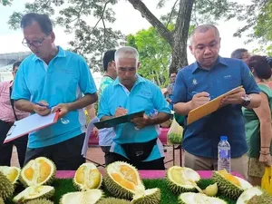 Meriah! Festival Durian Ini Ajak 1.000 Orang Makan Sepuasnya Meriah! Festival Durian Ini Ajak 1.000 Orang Makan Sepuasnya