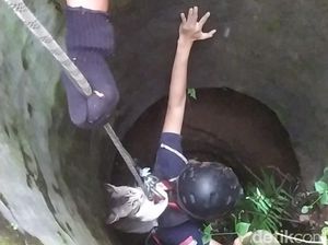 Damkar Tasik Evakuasi Dua Kucing Bucin dari Dalam Sumur Damkar Tasik Evakuasi Dua Kucing Bucin dari Dalam Sumur