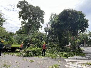Kota Medan Diterpa Angin Kencang, BMKG Perkirakan Berlangsung Selama 3 Hari Kota Medan Diterpa Angin Kencang, BMKG Perkirakan Berlangsung Selama 3 Hari