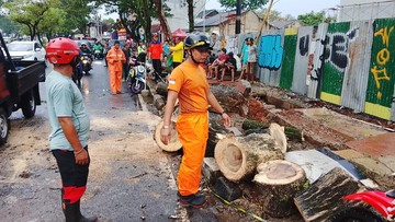 Pohon Tumbang Sempat Tutup Jalan Raya Ciater Tangsel gegara Hujan Deras