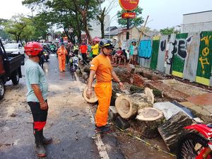 Pohon Tumbang Sempat Tutup Jalan Raya Ciater Tangsel gegara Hujan Deras
