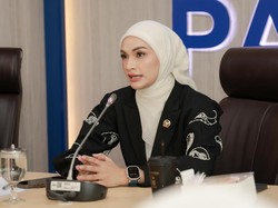 Fraksi PAN DPR Puji Prabowo atas Pencabutan Izin Tambang di Raja Ampat