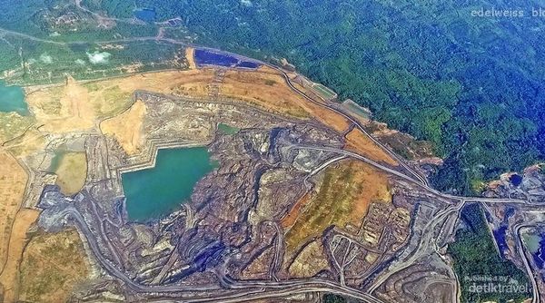 Foto: Terbang ke Maratua Banyak Bonusnya