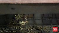img-title
