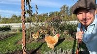 Potret Kehidupan David Beckham yang Tinggal di Desa, Berkebun & Tangkap Ayam