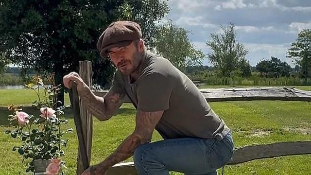 Highlight Dunia Hiburan InsertLive : Nasib David Beckham usai Pensiun dari Dunia Sepak Bola, Kini Sibuk Jadi Petani