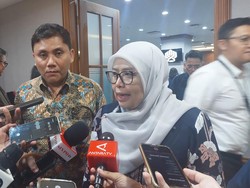 Soal Kabar Rumah 18 Meter Usulan James Riady, PKP: Dia Sampaikan Desain Menarik