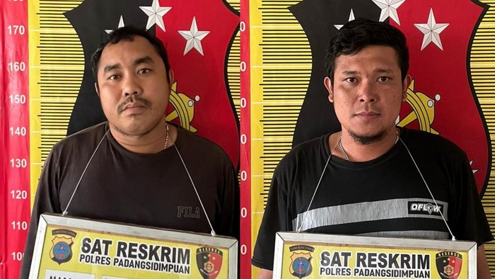 Foto 1: Tampang kedua pelaku pencurian kambing di saat diamankan. Foto: Dok. Polres Padangsidimpuan Foto 1: Tampang kedua pelaku pencurian kambing di saat diamankan. Foto: Dok. Polres Padangsidimpuan