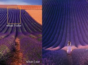 What I See Vs What I Take: Foto Keren Tunjukkan Mata Fotografer