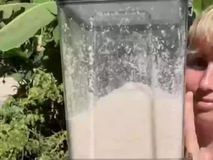 Influencer Mengaku Makin Sehat Berkat Diet Tinggi Gula Selama 18 Tahun Influencer Mengaku Makin Sehat Berkat Diet Tinggi Gula Selama 18 Tahun
