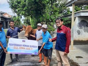 PLTU Cilacap & Mitra Kerja Salurkan 37 Sapi-11 Kambing Kurban untuk Warga PLTU Cilacap & Mitra Kerja Salurkan 37 Sapi-11 Kambing Kurban untuk Warga