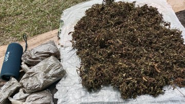 HP Egianus Kogoya Ditemukan, Terungkap KKB Punya Kebun Ganja untuk Beli Senpi