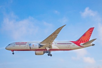 Pro Kontra Teori Tabrakan Burung Jatuhkan Boeing 787 Dreamliner