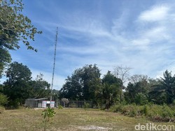 Perkuat Infrastruktur Digital 3T Lewat Apresiasi Konektivitas Digital