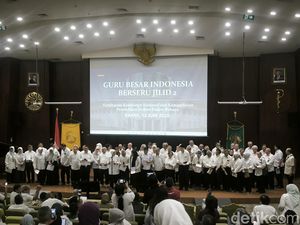 Protes Kebijakan Menkes, Sejumlah Guru Besar FKUI Ingin Temui Prabowo Protes Kebijakan Menkes, Sejumlah Guru Besar FKUI Ingin Temui Prabowo