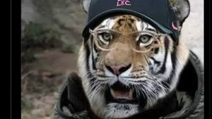 Meme Kocak Ekspresi Klopp Lihat Liverpool Tebus Wirtz 150 Juta