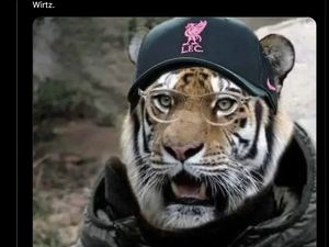 Meme Kocak Ekspresi Klopp Lihat Liverpool Tebus Wirtz 150 Juta Meme Kocak Ekspresi Klopp Lihat Liverpool Tebus Wirtz 150 Juta