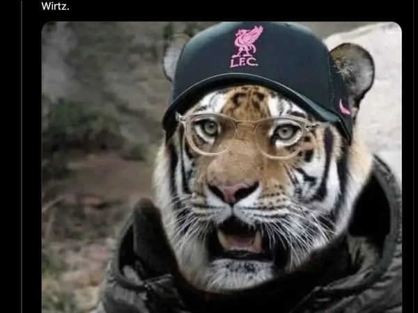 Meme Kocak Ekspresi Klopp Lihat Liverpool Tebus Wirtz 150 Juta