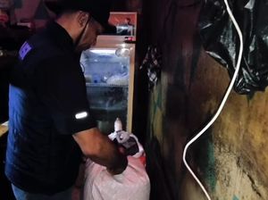 Polisi Gerebek Warung Jual Miras Ilegal di Bogor, Sita 2 Jerigen Ciu