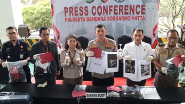 Peran Tujuh Tersangka dalam Penyelundupan Benih Lobster Senilai Rp 9,2 Miliar di Bandara Soetta