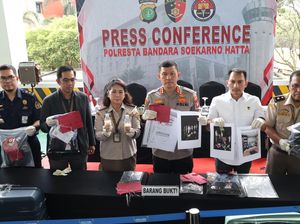 Peran 7 Tersangka Penyelundup Benih Lobster Rp 9,2 M Via Bandara Soetta Peran 7 Tersangka Penyelundup Benih Lobster Rp 9,2 M Via Bandara Soetta