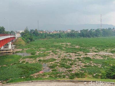 Penampakan Sungai Citarum yang Dikotori Lagi Sampah-Eceng Gondok