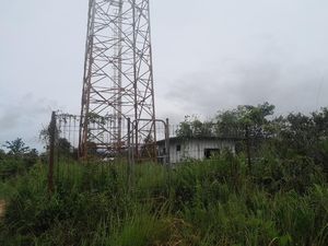 Duh! Tower Komunikasi Tertinggi di Krayan Belum Beroperasi Sejak 2016 Duh! Tower Komunikasi Tertinggi di Krayan Belum Beroperasi Sejak 2016
