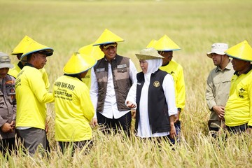 Khofifah: Produksi Padi Jatim Tertinggi, Siap Wujudkan Kedaulatan Pangan