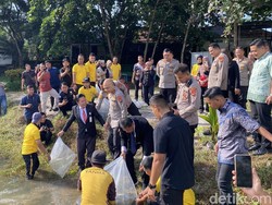 5.500 Benih Ikan Nila Kembali Dilepas di Taman Bhaypark Polda Babel