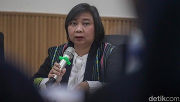 Komnas HAM: Operasi TPNPB-OPM Sebabkan Korban Jiwa Warga Sipil Langgar HAM