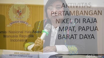 Komnas HAM Sebut Tambang Nikel Raja Ampat Langgar HAM