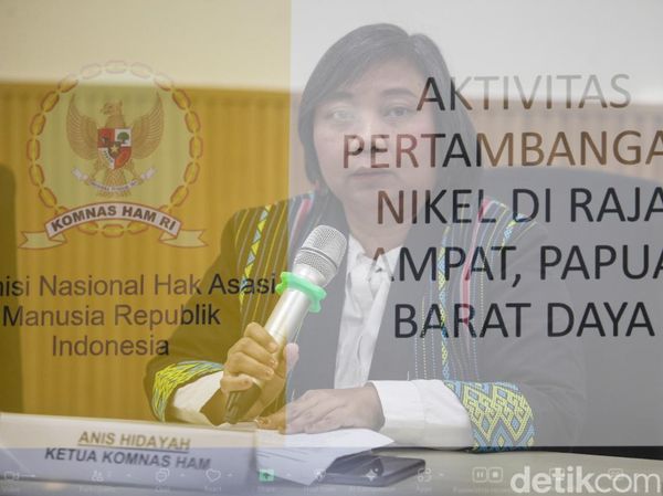 Komnas HAM Sebut Tambang Nikel Raja Ampat Langgar HAM