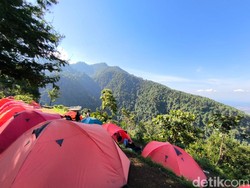 Bawa Uang Rp 100 Ribu Bisa Berkemah di Lamping Kidang Kuningan