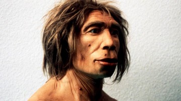 DNA Unik Kerangka Umur 6.000 Tahun, Tak Mirip Manusia Modern