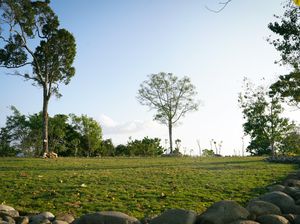 Parapuar Labuan Bajo Hadirkan Wisata Meditasi di Tengah Hutan, Ini Jadwalnya Parapuar Labuan Bajo Hadirkan Wisata Meditasi di Tengah Hutan, Ini Jadwalnya
