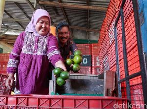 Kisah Lilik dan Seger Jalankan Bisnis Buah di Tengah Ketidakpastian Kisah Lilik dan Seger Jalankan Bisnis Buah di Tengah Ketidakpastian