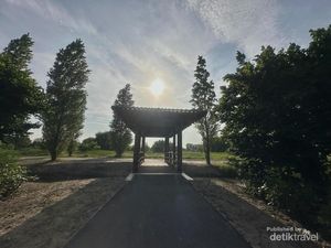 Menikmati Awal Musim Panas di Taman Kota Utrecht Menikmati Awal Musim Panas di Taman Kota Utrecht