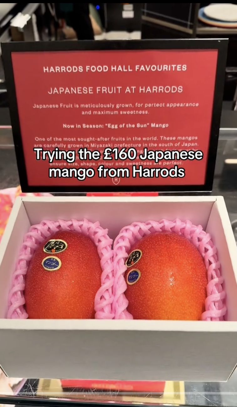 Wah! Rasa Mangga Jepang Seharga Rp 3,5 Juta Bikin Takjub