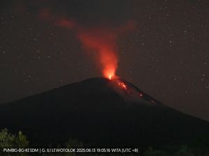 Gunung Ile Lewotolok Meletus 101 Kali Sepanjang Malam, Lava Mengalir 1,2 Km Gunung Ile Lewotolok Meletus 101 Kali Sepanjang Malam, Lava Mengalir 1,2 Km