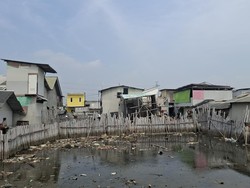 Curhat Warga Muara Angke Sering Dilanda Banjir Rob: Tiap Hari Waswas