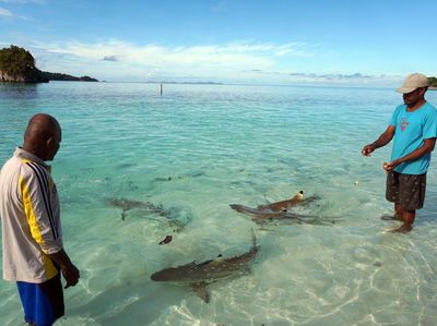 Masyarakat Adat Tutup Tempat wisata Pulau Wayag di Raja Ampat