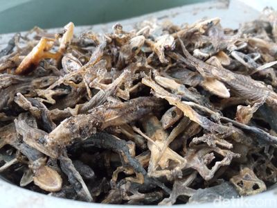 Mengintip Produksi Cicak Kering di Cirebon yang Diekspor ke China