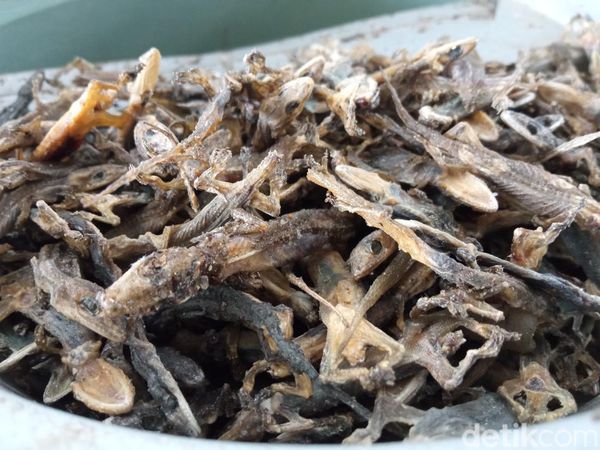 Mengintip Produksi Cicak Kering di Cirebon yang Diekspor ke China