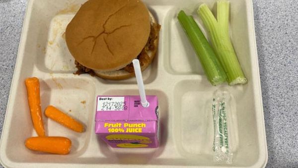 Remaja Ini Ungkap Menu Makan Siang Gratis Ala Kadarnya di Amerika
