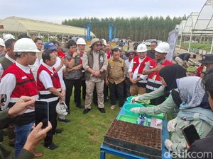 Wamenhut Sebut Jambi Memiliki Kesiapan Penuh Hadapi Karhutla Wamenhut Sebut Jambi Memiliki Kesiapan Penuh Hadapi Karhutla