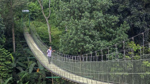 Jembatan Gantung Citarum, Ikon Baru Ekowisata di Bandung Barat